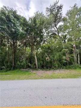 Wooded Lot in Crystal River