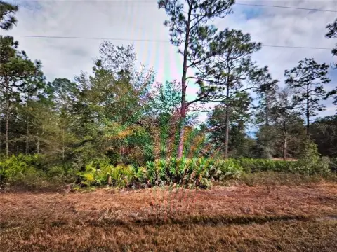Residential Land in Interlachen Lakes