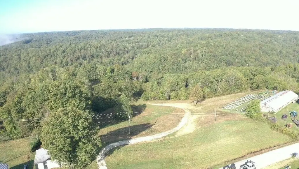 Picture 9
