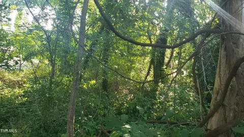 Residential Land in Kingsport, TN