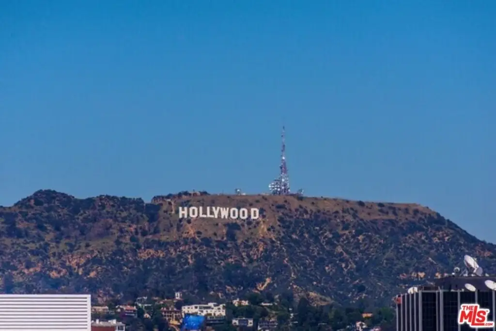 Picture 31