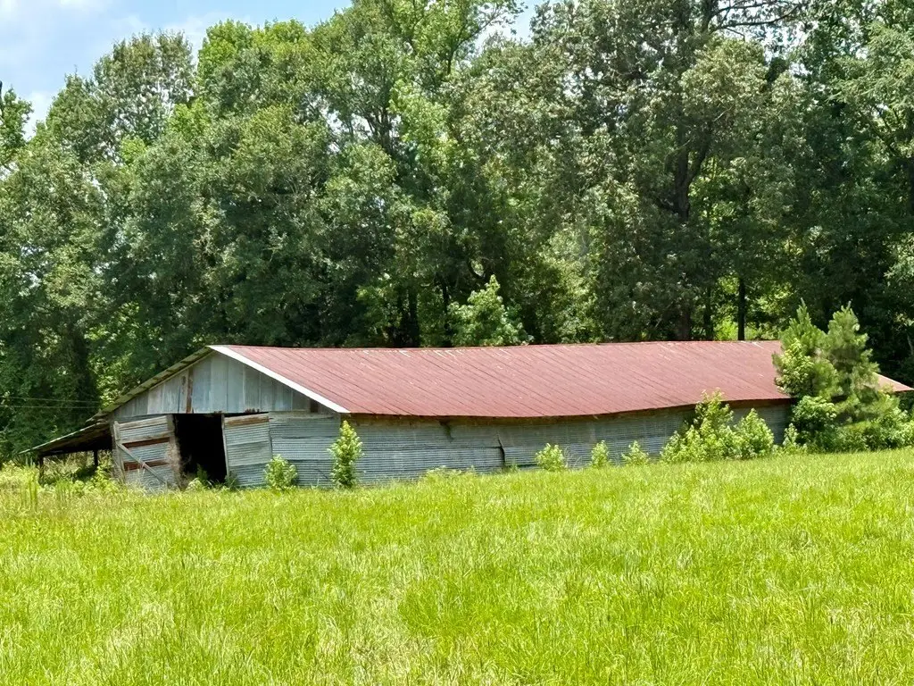 Picture 25