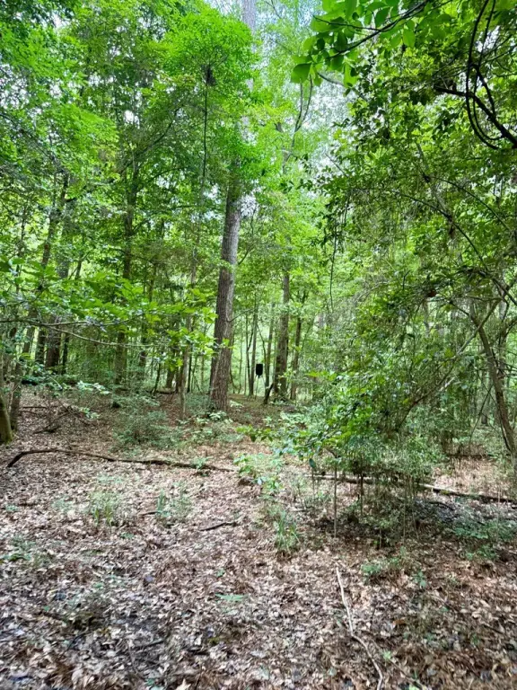 Picture 47
