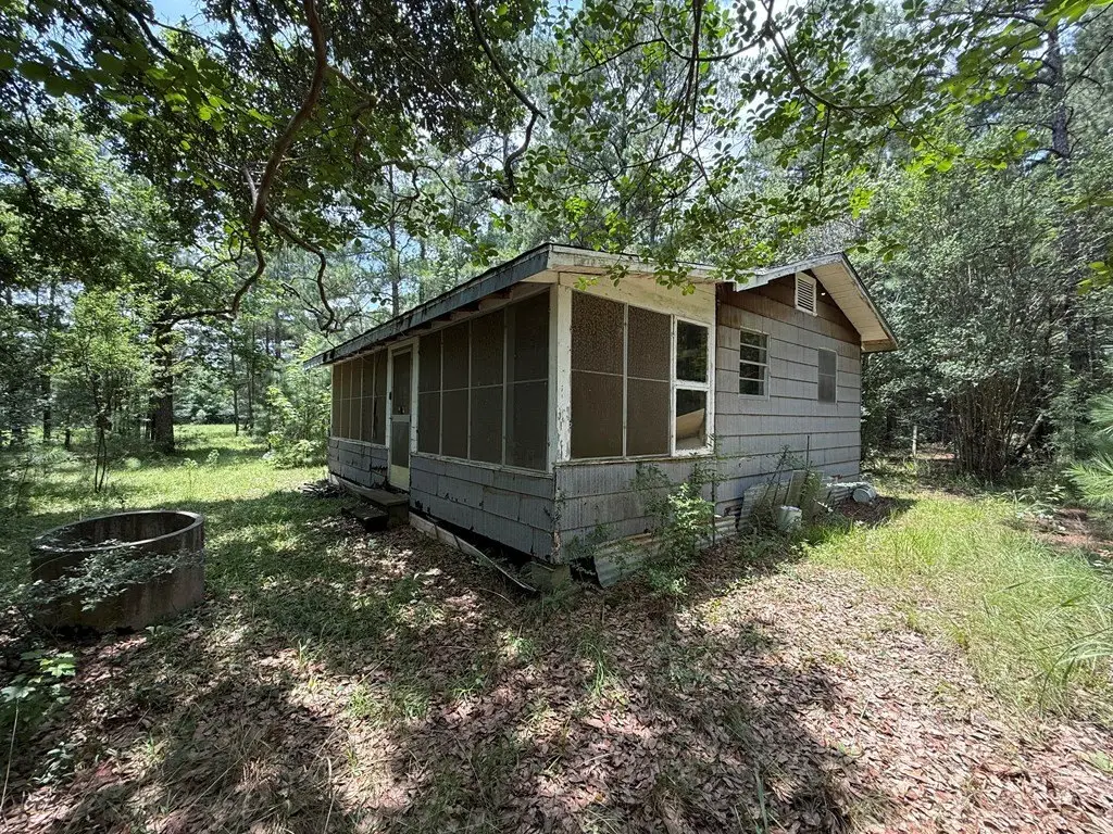 Picture 6