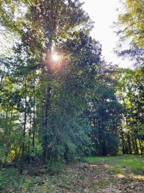 Picture 15