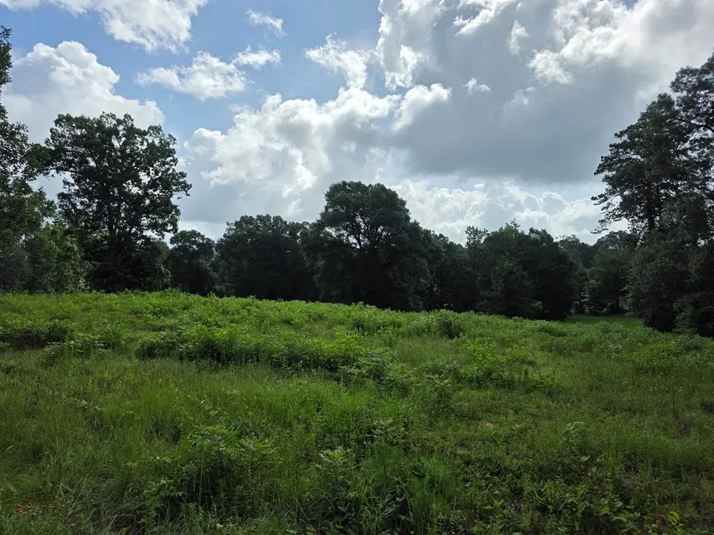 Picture 11