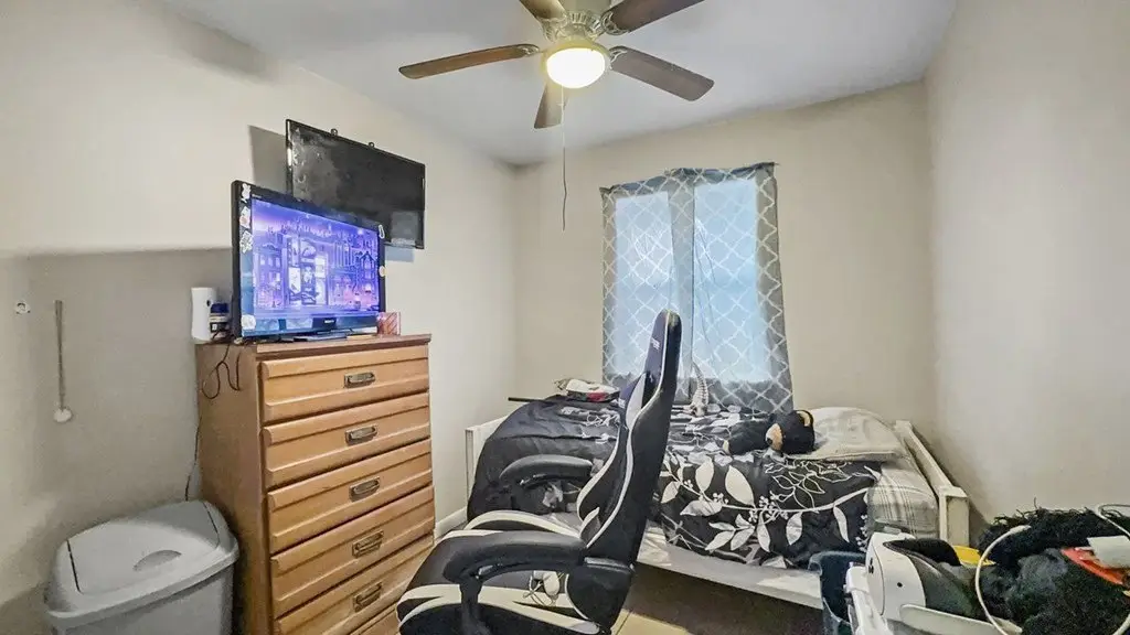 Picture 8