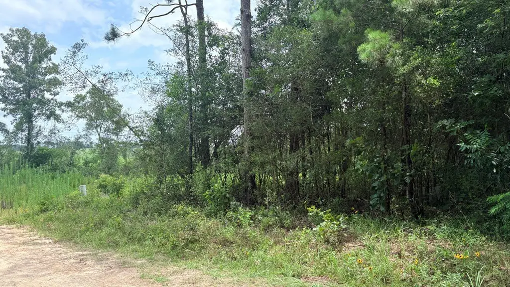 Picture 6