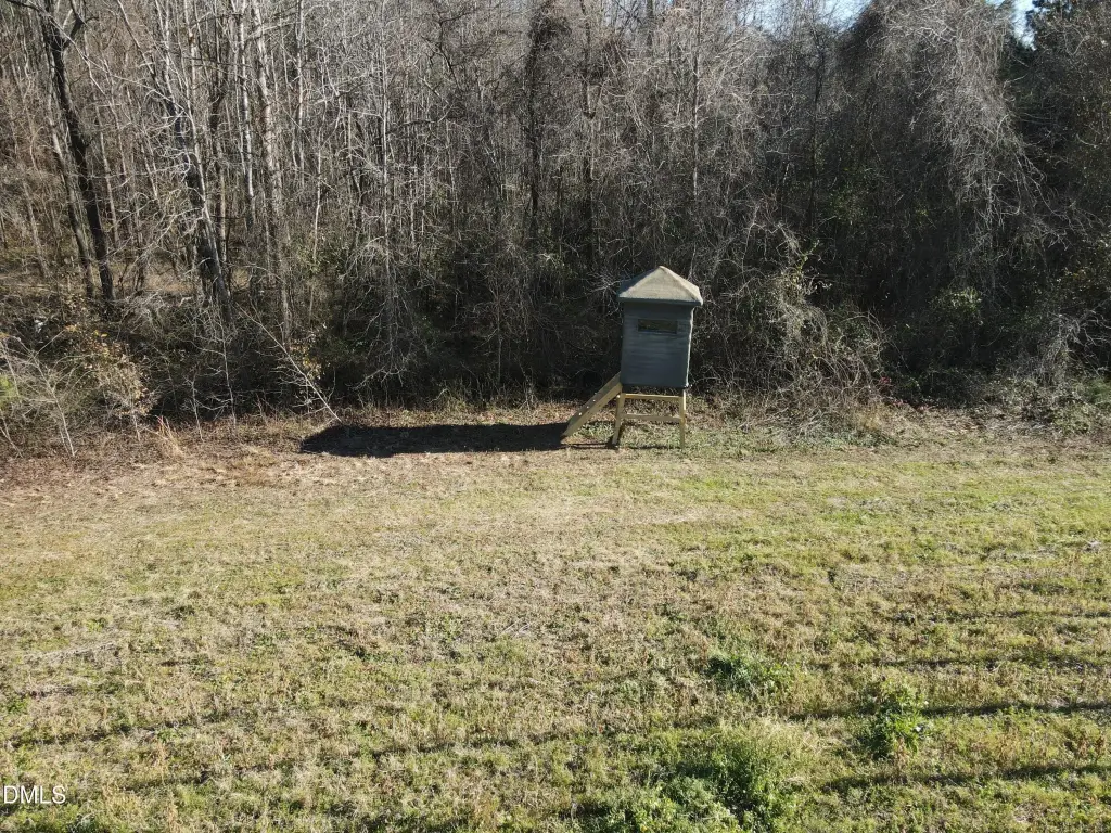 Picture 23