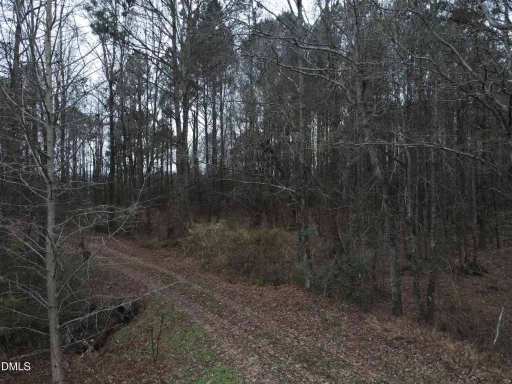 Picture 36