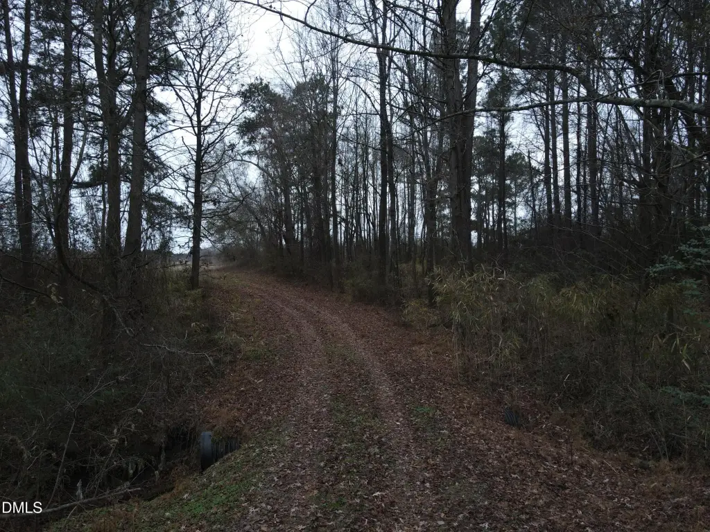 Picture 38