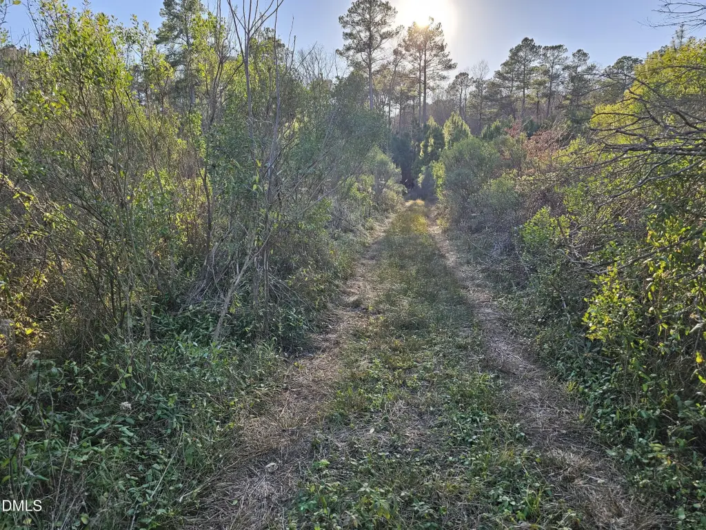 Picture 27