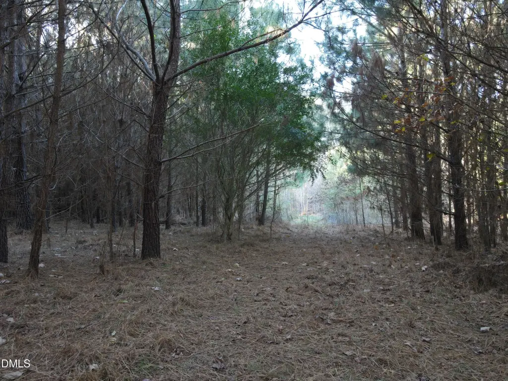 Picture 33