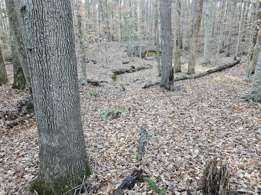 Picture 30