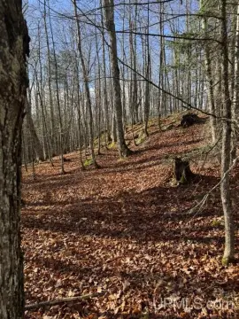 40 Acres Vacant Land