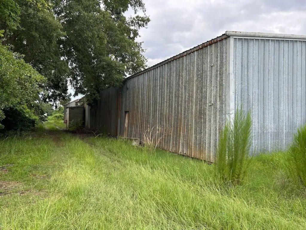 Picture 8