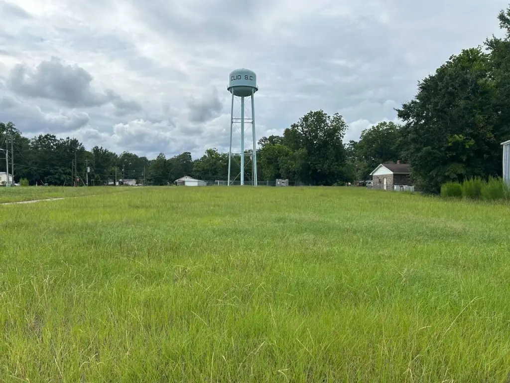 Picture 16