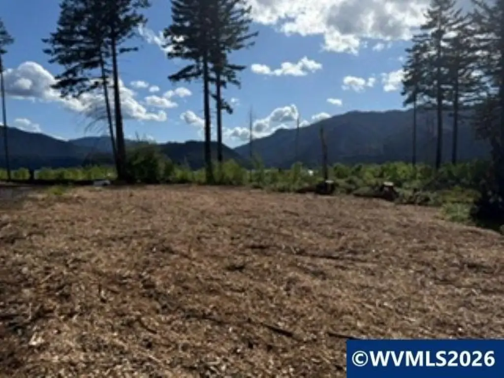 Picture 13