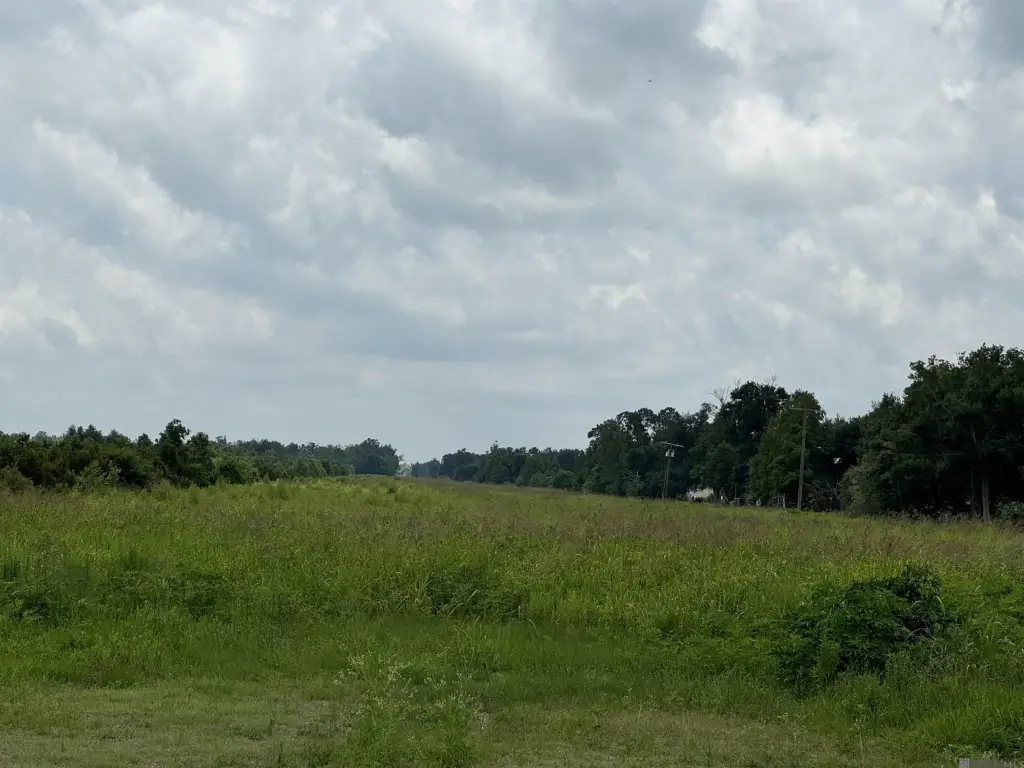Picture 7