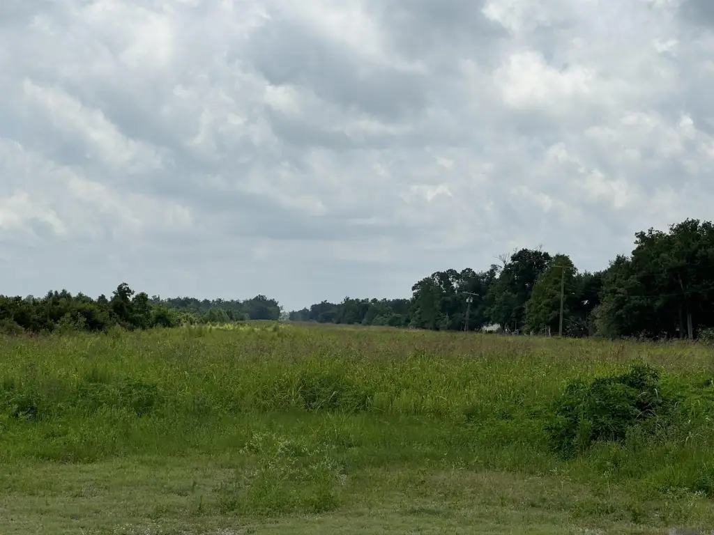 Picture 12