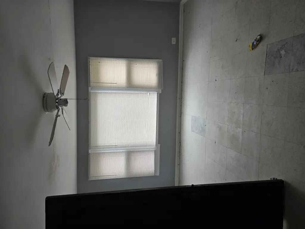 Picture 18