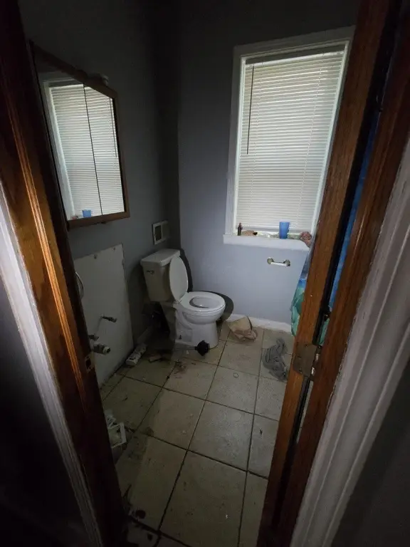 Picture 15