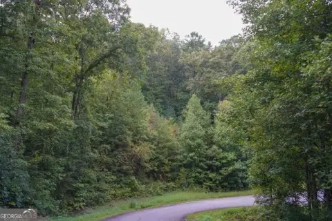 Wooded Land in Clayton, Georgia
