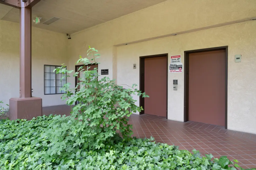 Picture 9