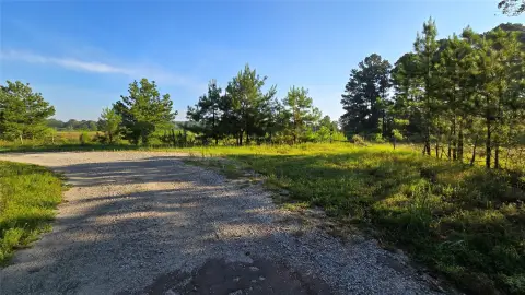 Piney Woods Recreation Land