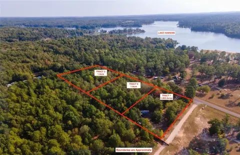 Commercial Land Near Lake Attractions