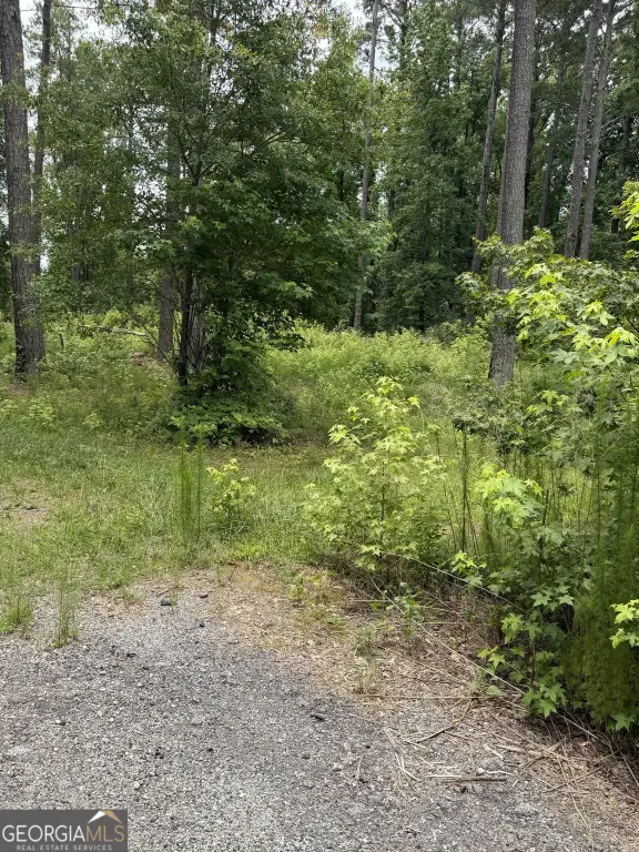 Picture 4