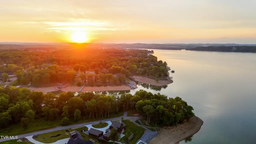 Picture 44