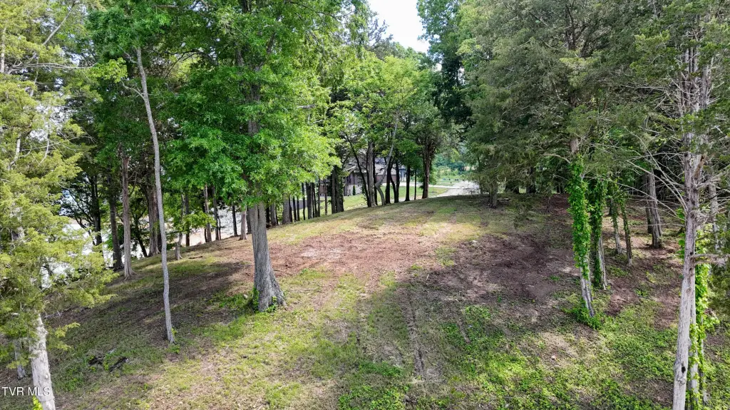 Picture 30
