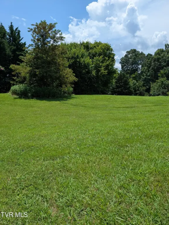 Picture 14