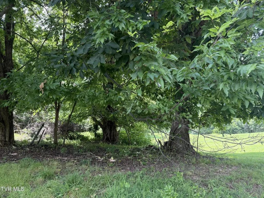 Picture 12