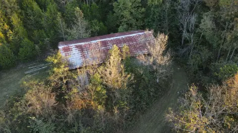 Timbered Hunting Land