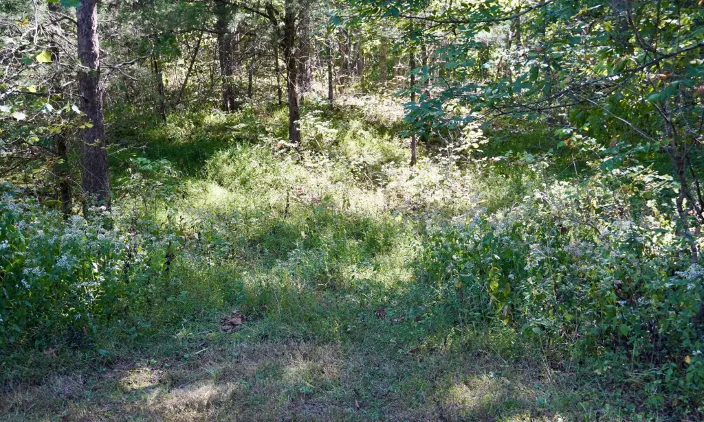 Picture 23