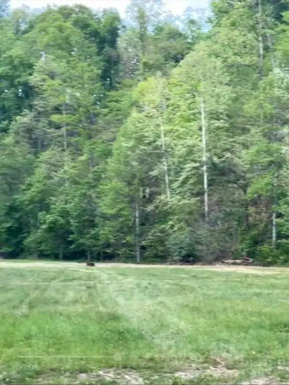 Picture 12