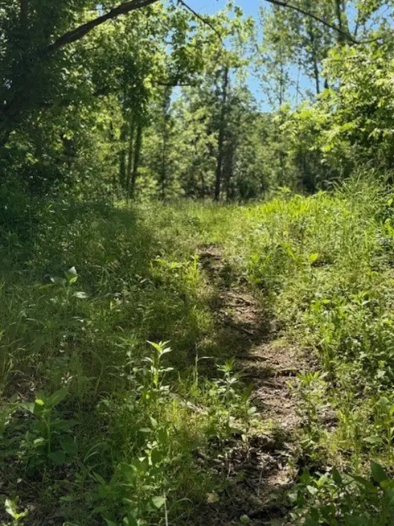Picture 8