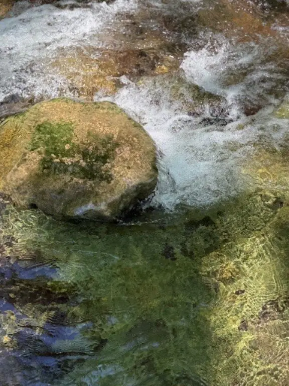 Picture 7