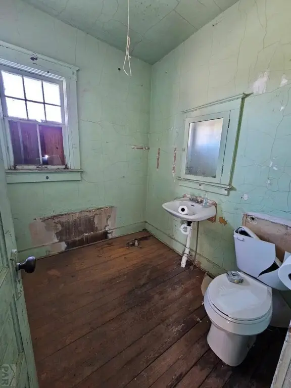 Picture 9