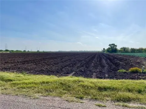 Progreso, TX Farmland Opportunity