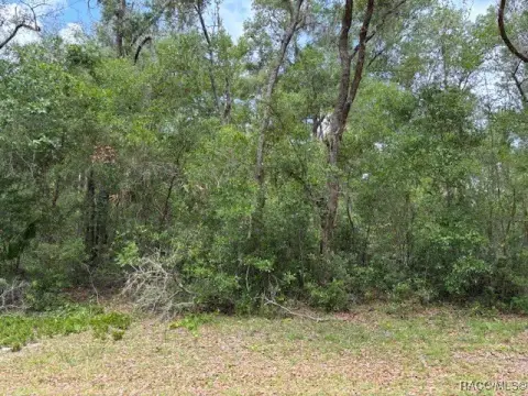 Vacant Lot in Crystal River