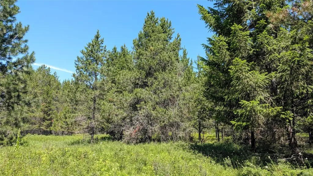 Picture 24