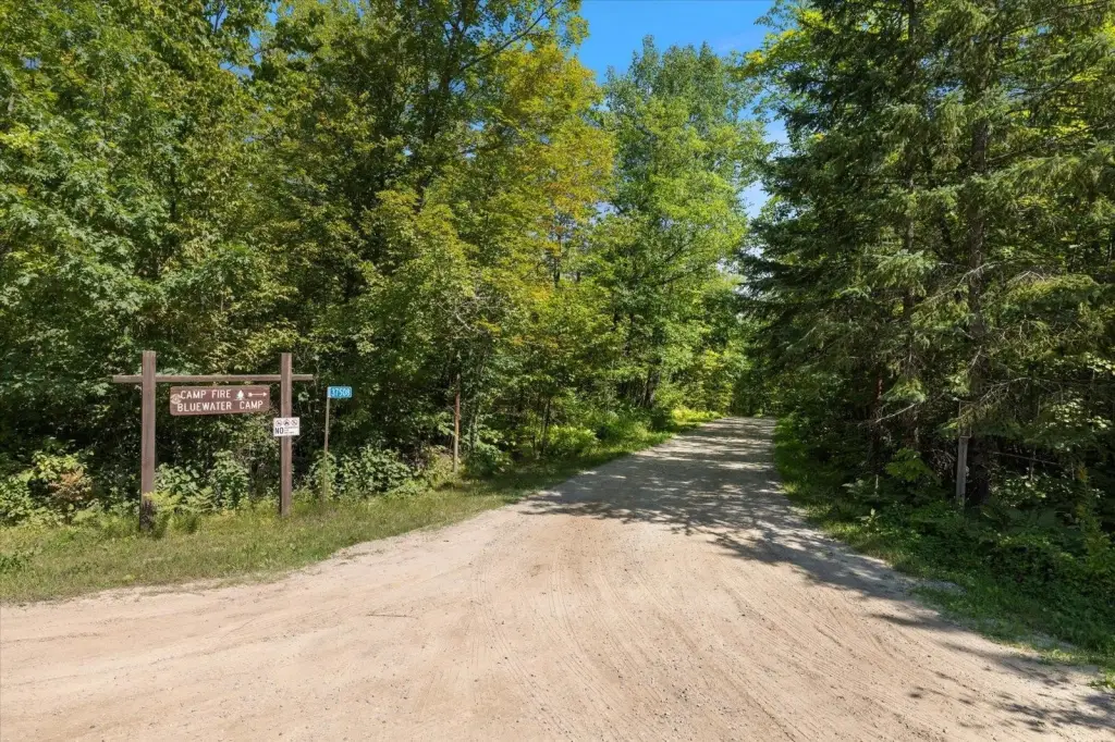 Picture 26