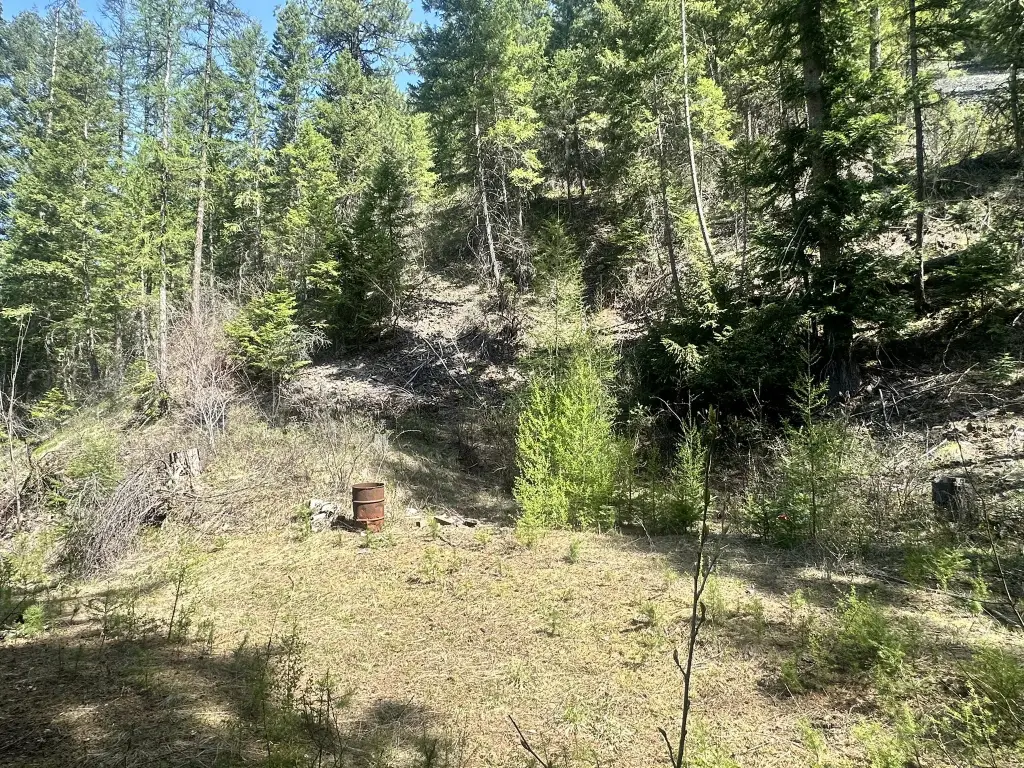 Picture 3