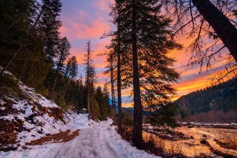Montana Land with Mountain Views