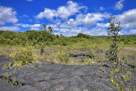 Pahoa Land with Ocean Views