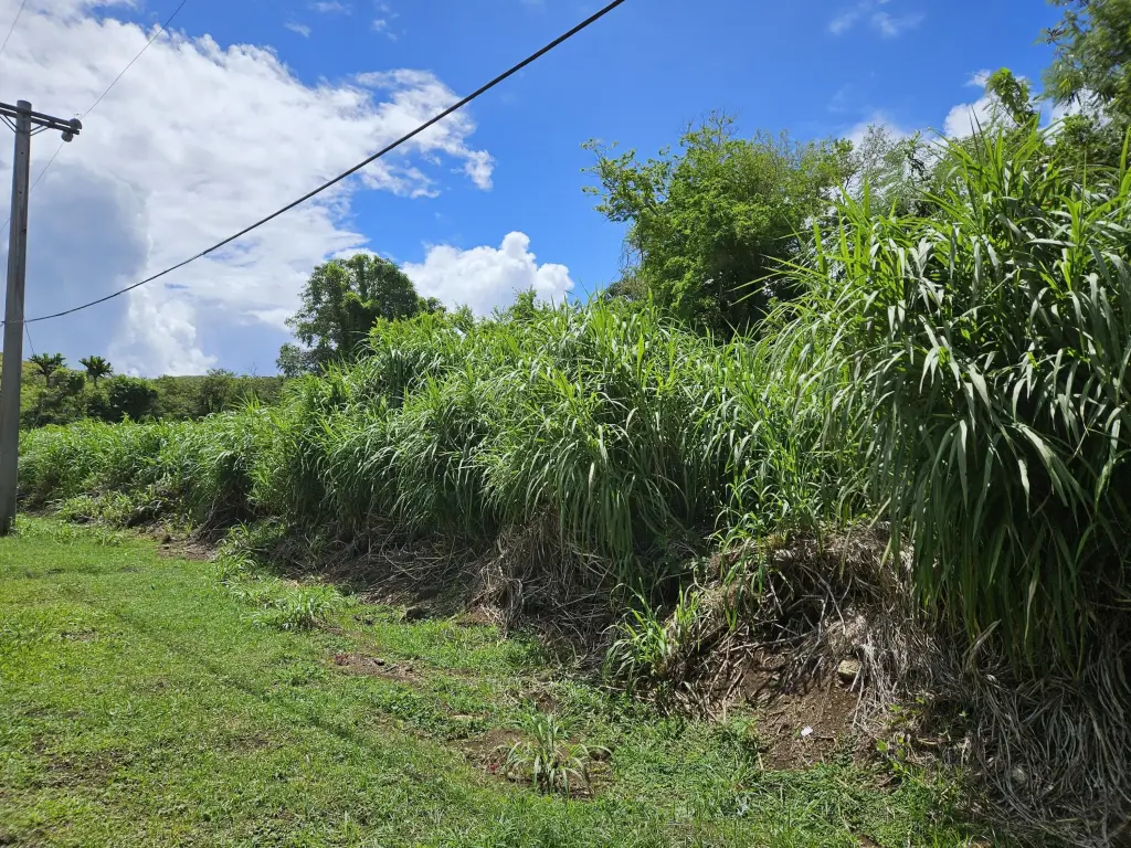 Picture 7