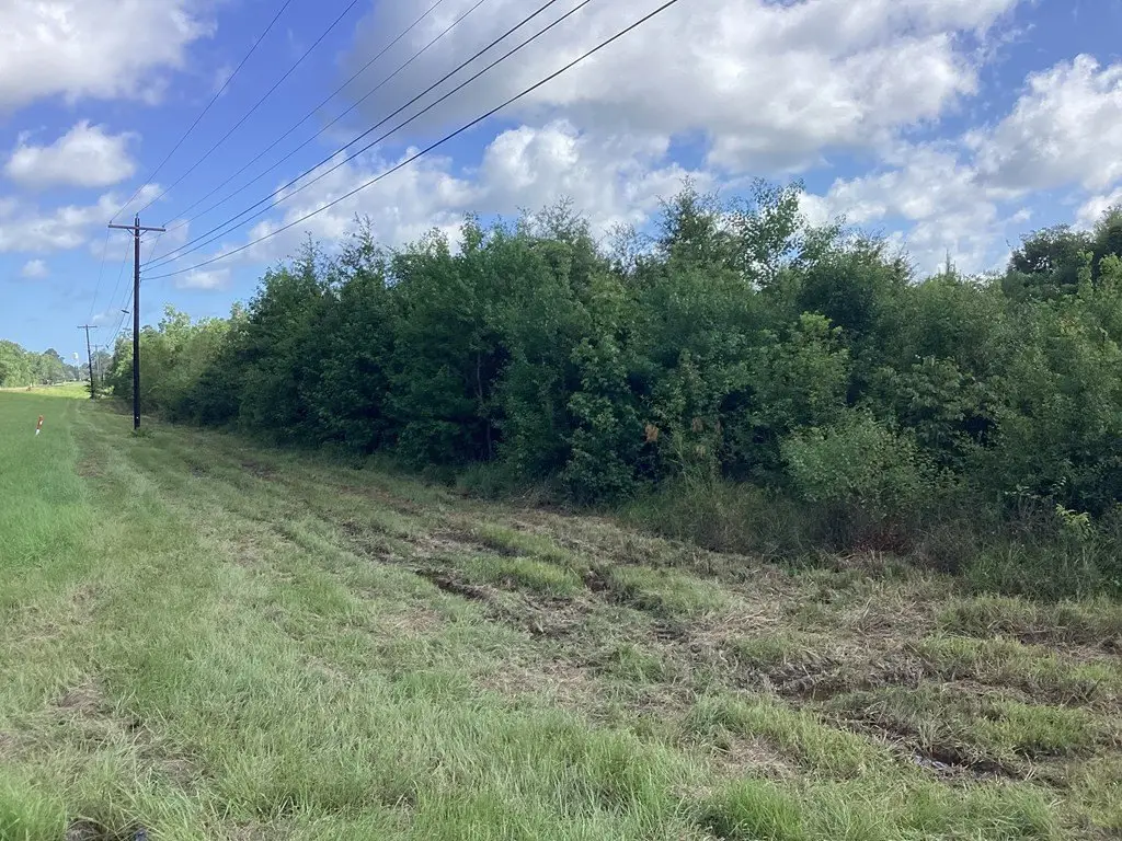 Picture 21